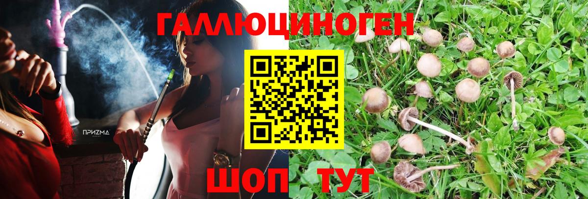 Псилоцибиновые грибы MAGIC MUSHROOMS Вышний Волочёк
