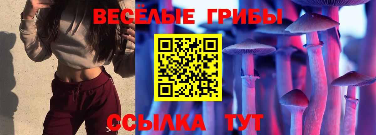 Псилоцибиновые грибы MAGIC MUSHROOMS  Вход с VPN  Псилоцибиновые грибы мицелий  Вышний Волочёк 